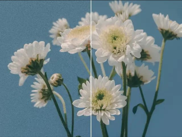 ai image denoiser preview