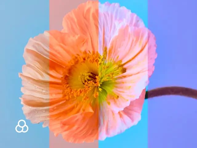 Adjust Image Filters