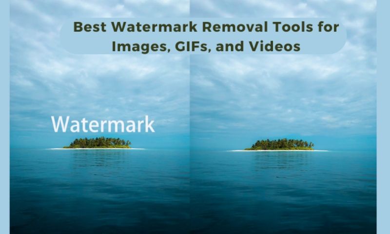 6 Free Ways to Remove Watermark from JPG/PNG/GIF Online