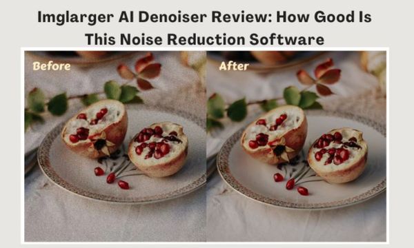 Imglarger AI Denoiser Review: How Good Is This Noise Reduction Software